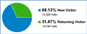 pie-chart2